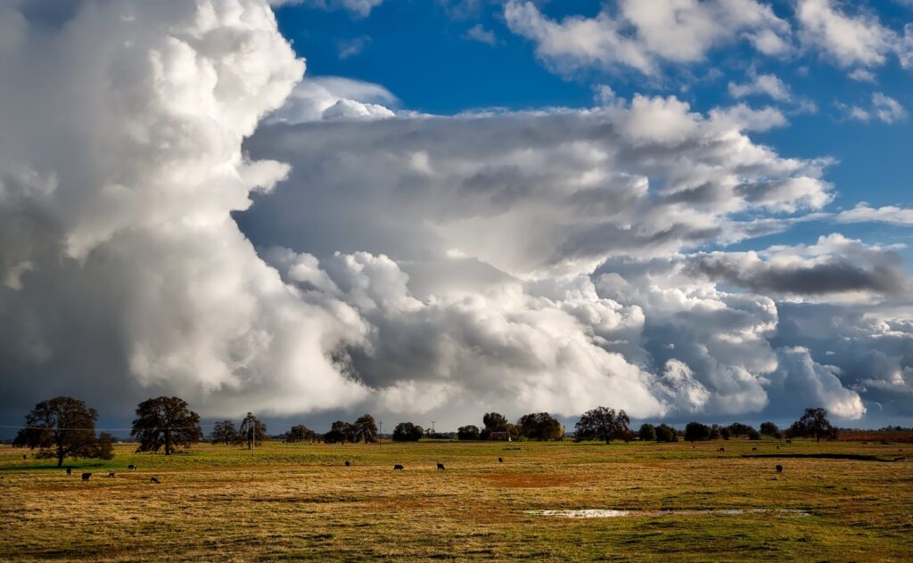 Idyllic rural landscape with large storm clouds gathering over a peaceful pasture.