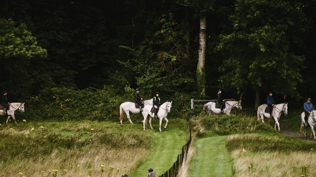 a group of people riding on the backs of white horses
