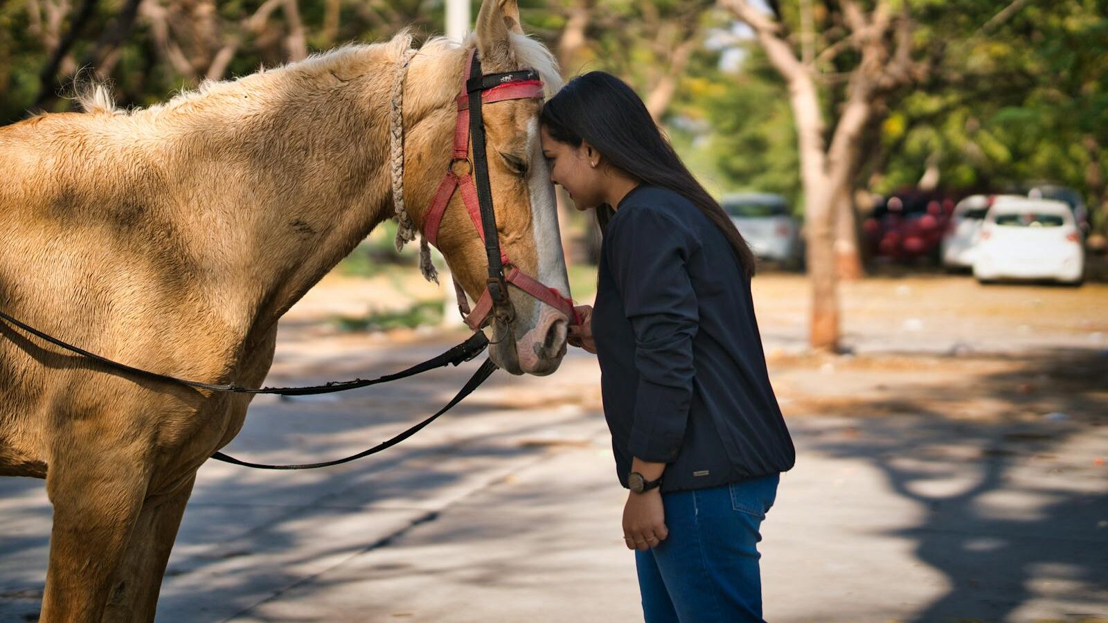 A woman gently interacting with a horse in a serene park setting, exemplifying friendship.