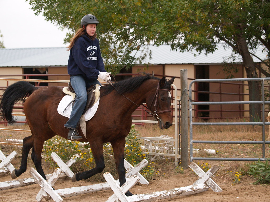 Cavaletti Horse Training
