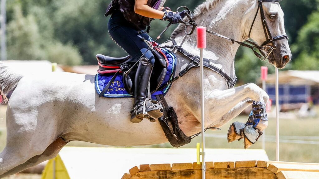 Rider and horse mid-jump during an equestrian event on a sunny day.