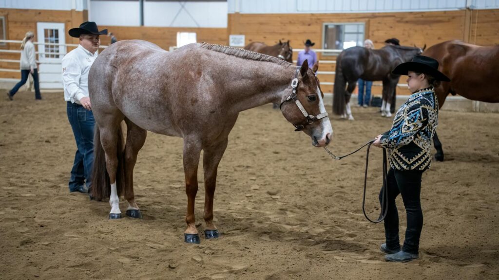 Equestrian event in Winona showcasing riders and horses indoors.