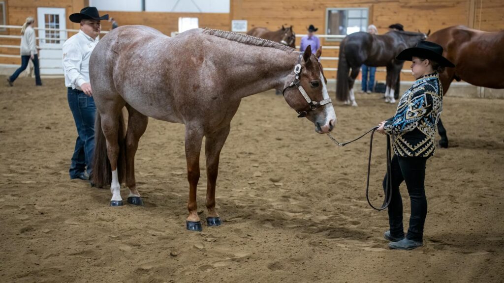 Equestrian event in Winona showcasing riders and horses indoors.