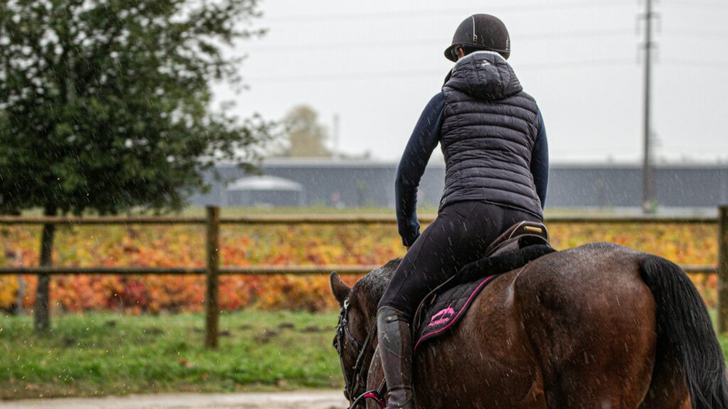 man in black jacket riding brown horse during daytime