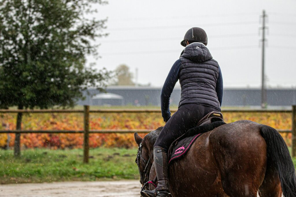 Man in black jacket riding brown horse during daytime