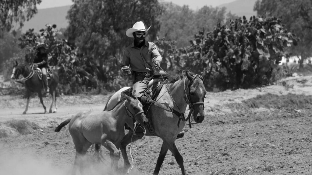 Cowboy riding a horse in a rural field in Epazoyucan, Mexico.