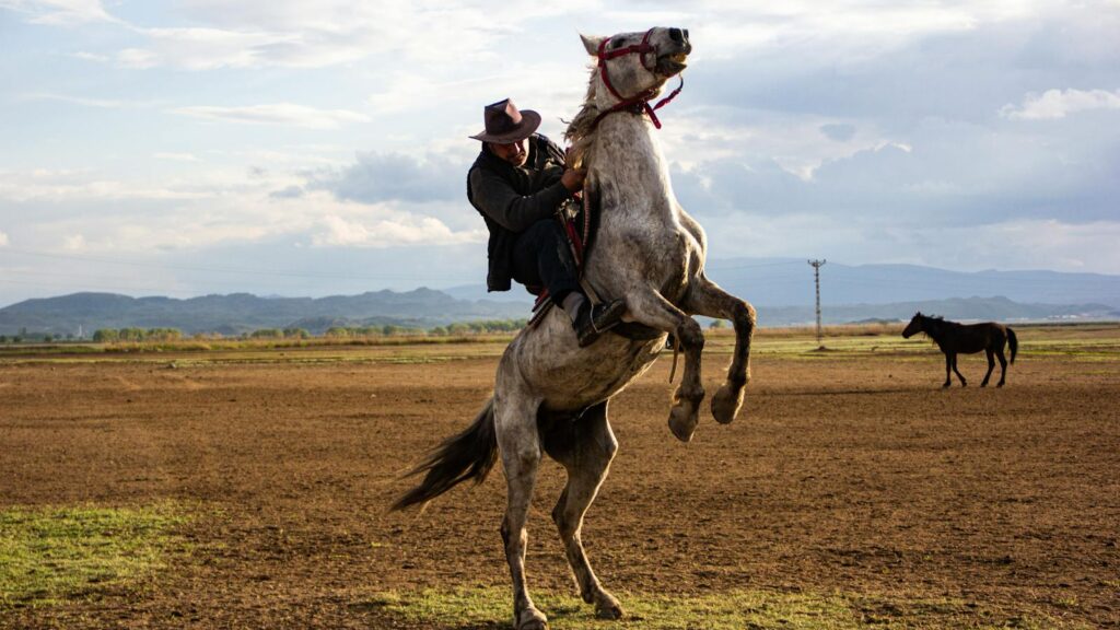 A man in a hat rides a rearing horse in a rural pasture, showcasing skill and control.