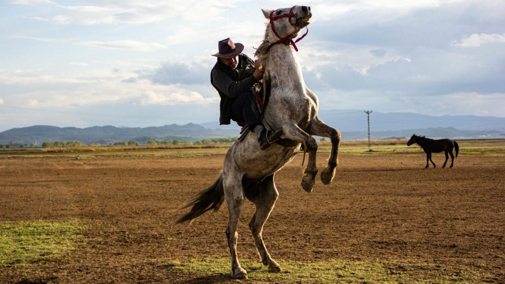 A man in a hat rides a rearing horse in a rural pasture, showcasing skill and control.