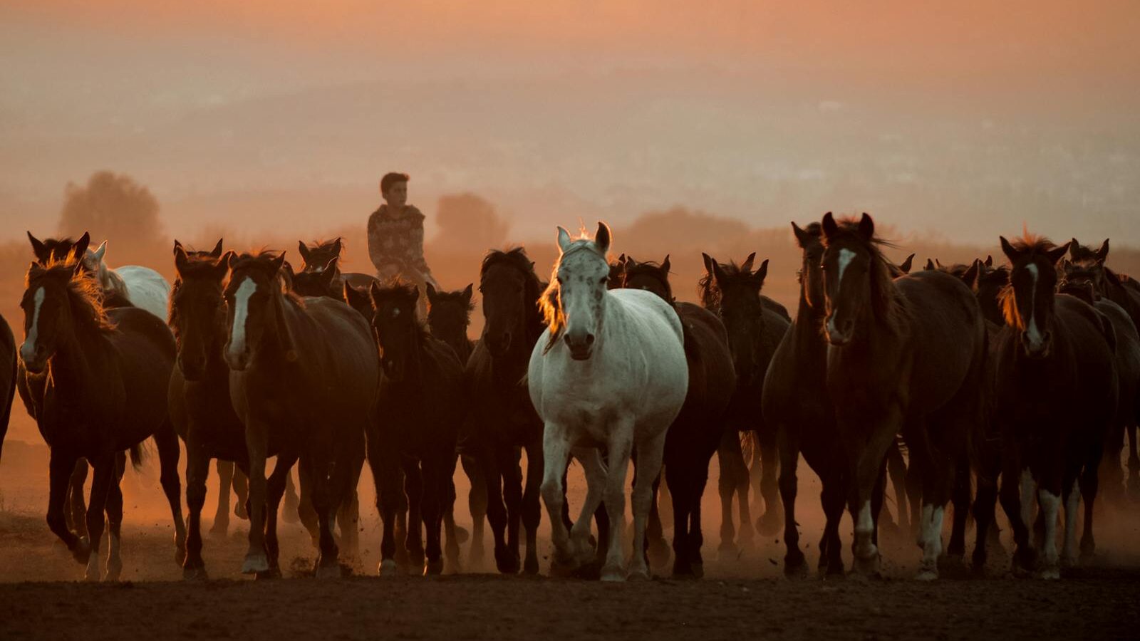 Silhouette of horses and a man at sunset in Kayseri, Türkiye, showcasing rural life.