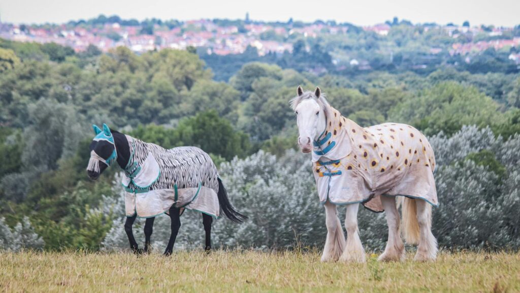 Two horses wearing patterned rugs stand in a lush meadow with a scenic backdrop.