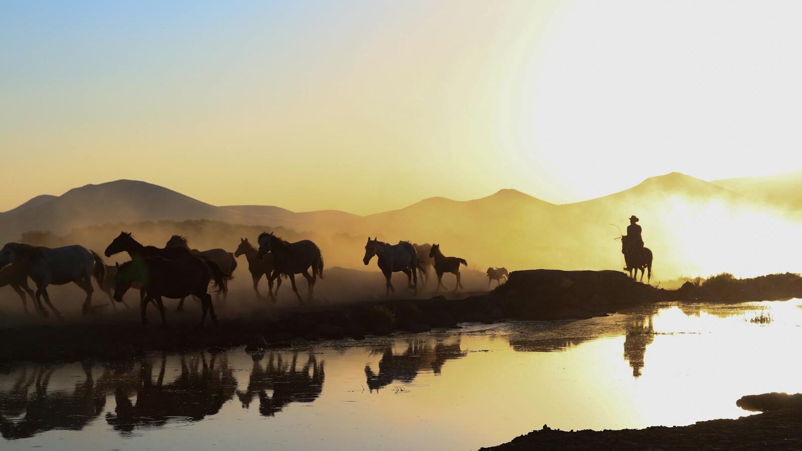 A herd of horses galloping by a river at sunset with a cowboy silhouette, creating a dramatic scene.
