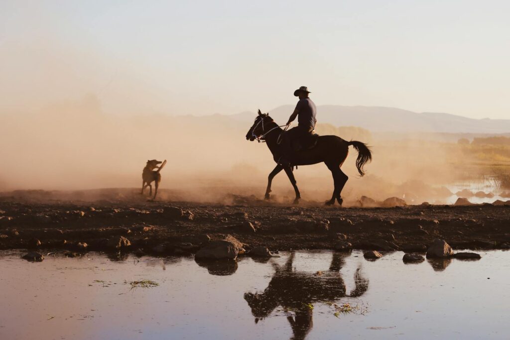 A cowboy riding a horse with a dog running alongside against a dusty rural sunset.