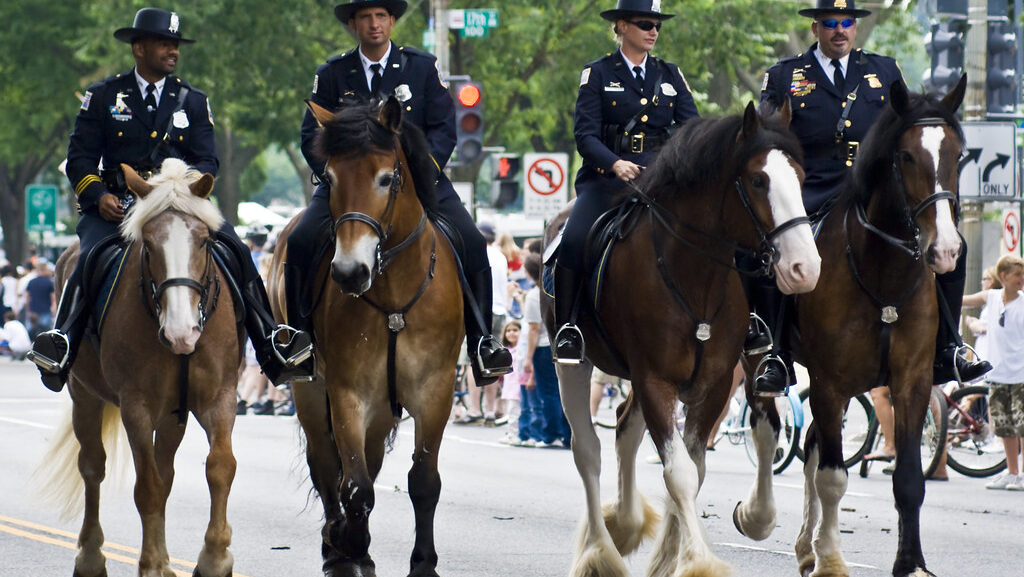 police men riding on horses