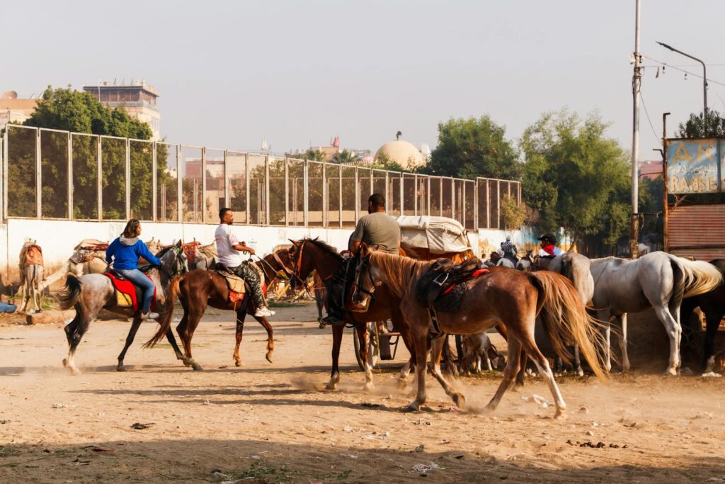 Horse riders gather in an urban environment