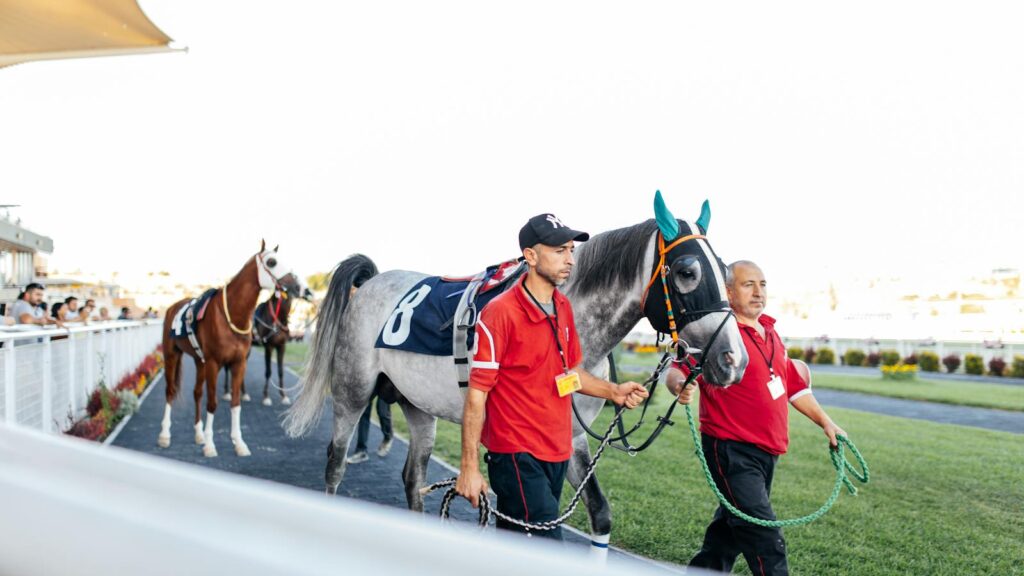 Men leading horses at a sunny racetrack, highlighting the excitement of competitive horse racing.