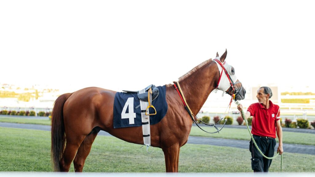 Trainer with chestnut racehorse ready for competition on sunny day.
