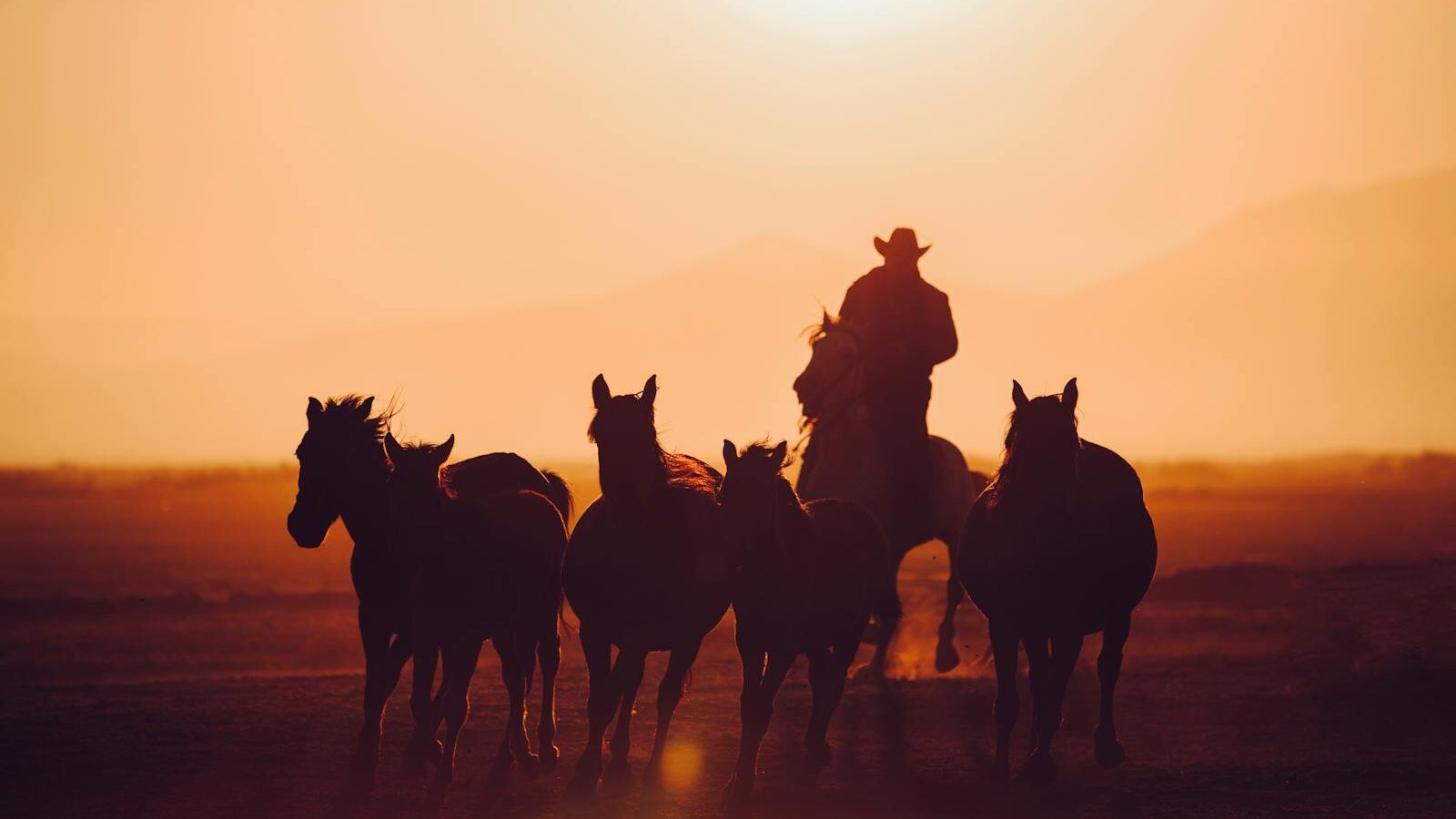 A cowboy riding a horse leads a herd in the desert, silhouetted against a vivid sunset.