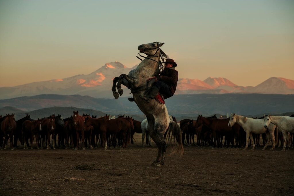 A cowboy skillfully rides a bucking horse in a picturesque field with mountains at sunset.