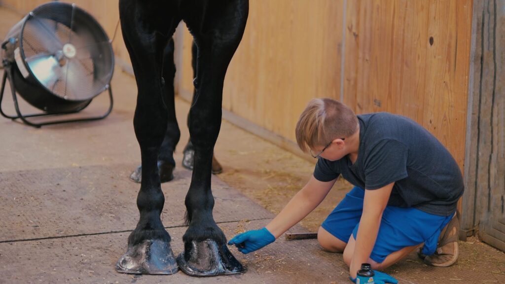 Young boy applying hoof oil to horse hooves in a stable, emphasizing rural life and animal care.