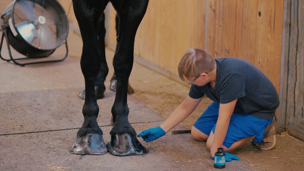 Young boy applying hoof oil to horse hooves in a stable, emphasizing rural life and animal care.
