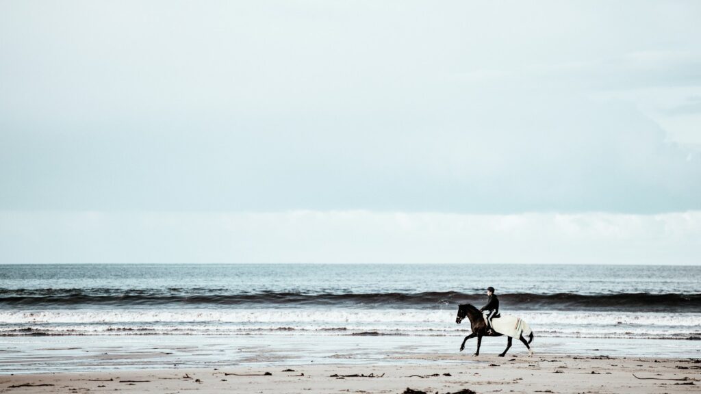 person riding on horse running in seashore