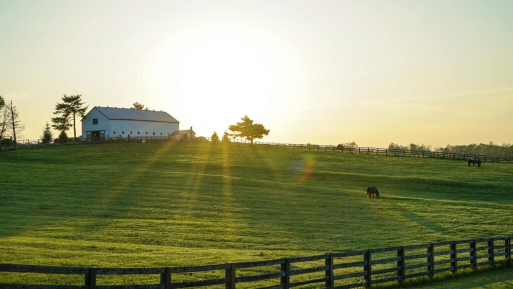 Beautiful sunrise illuminating a peaceful Kentucky farm with lush green pastures and grazing horses.