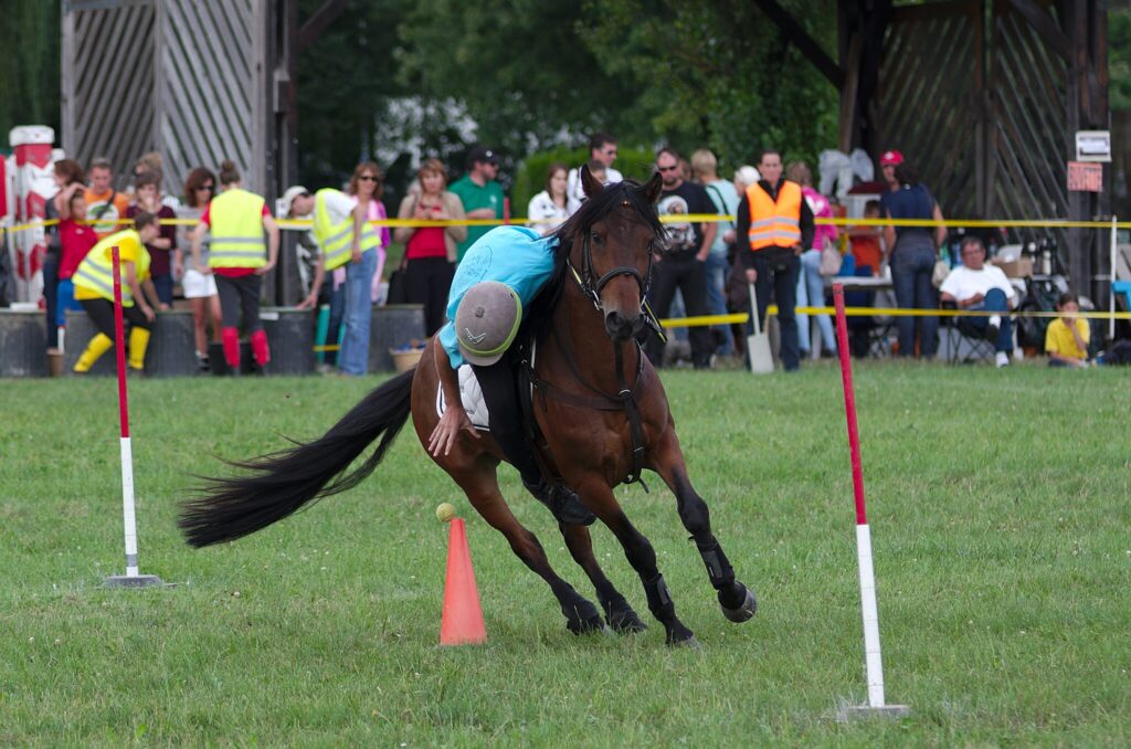 Equestrian sport