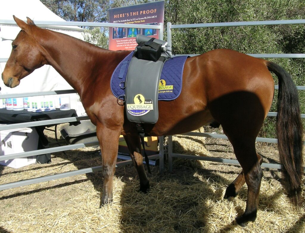 Equine massage back pack, AgQuip, Gunnedah, NSW