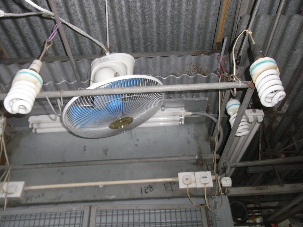 Diy fan