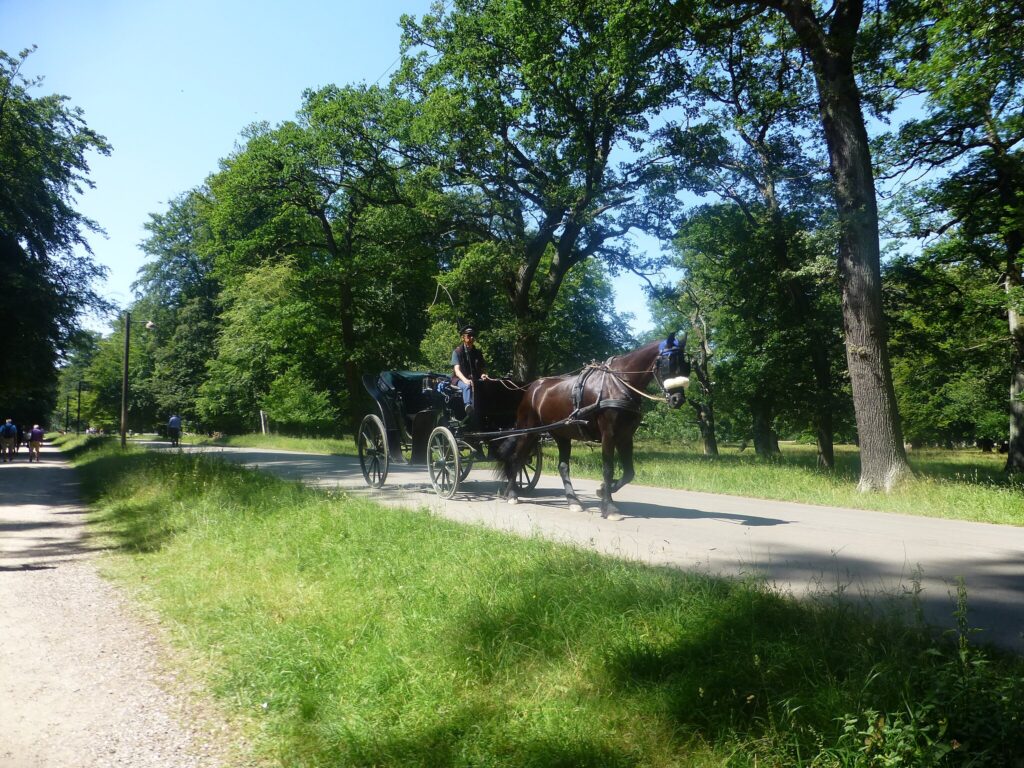 Hackney carriage in Dyrehaven