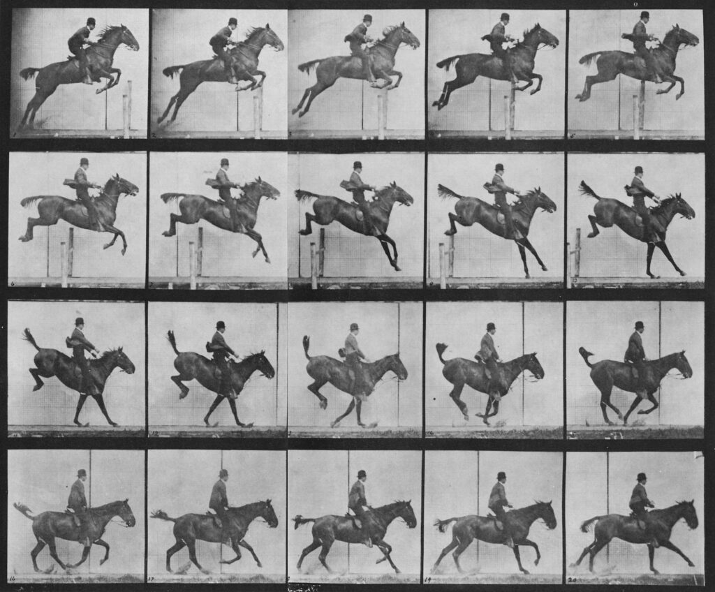 Muybridge, Eadweard - Daisy skips a hurdle