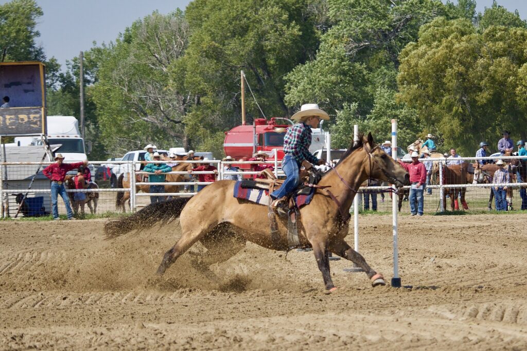 Pole bending competition at the Wyoming Junior Rodeo, Glenrock, Wyoming, August 19-20, 2017
