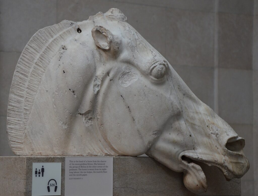 The Parthenon sculptures, Head of a horse of Selene