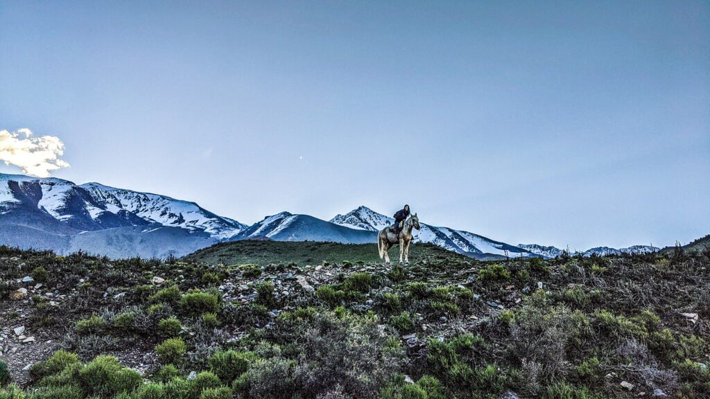 Woman on a horse in Patagonia. Cordillera de los Andes