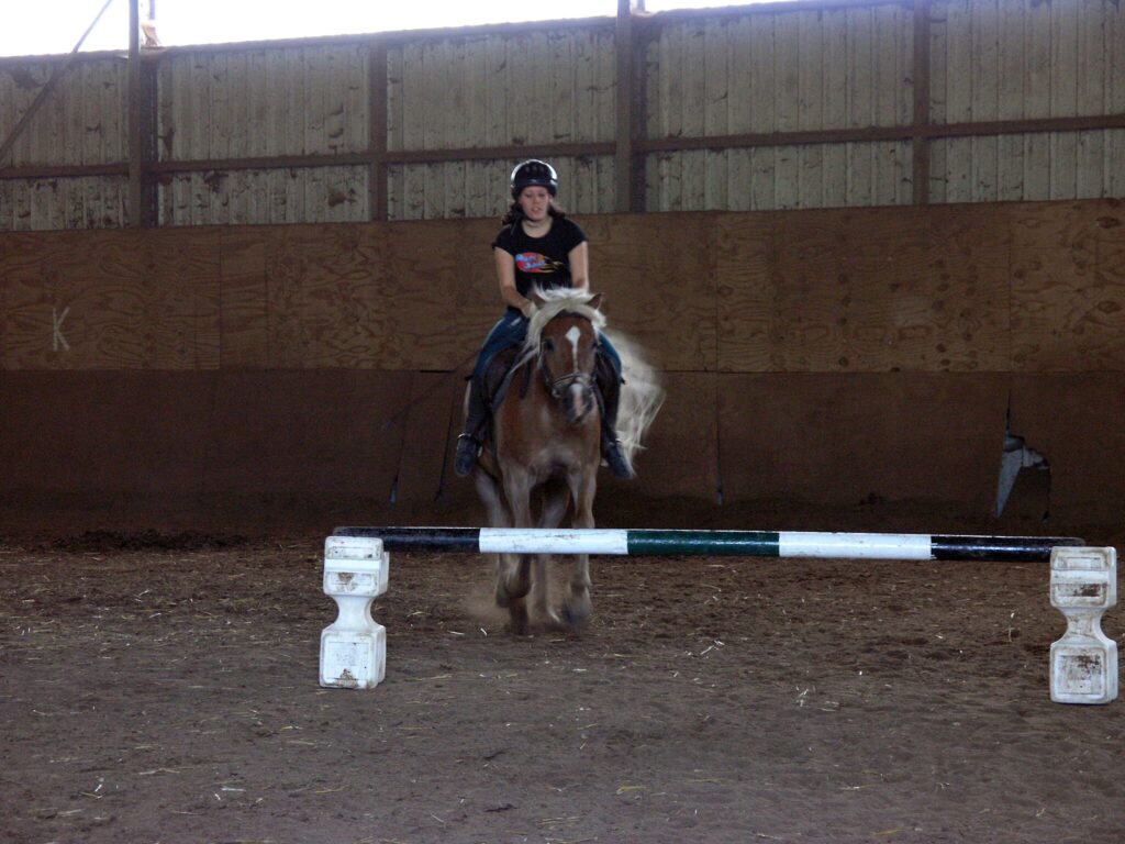 Modern molded plastic cavaletti standards, placed at highest setting and used as a jump