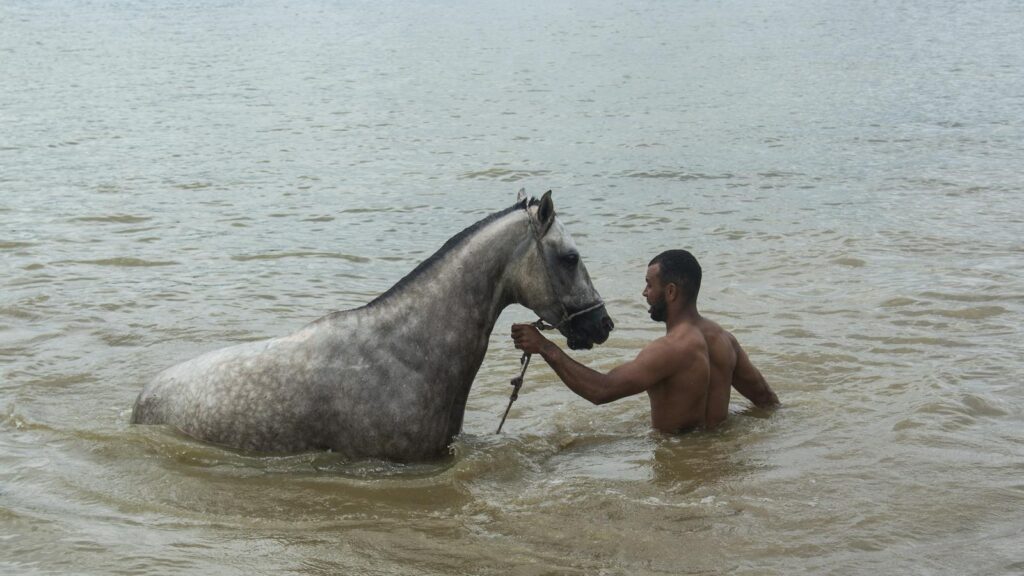 A man leading a horse in a river, showcasing a serene and natural interaction.