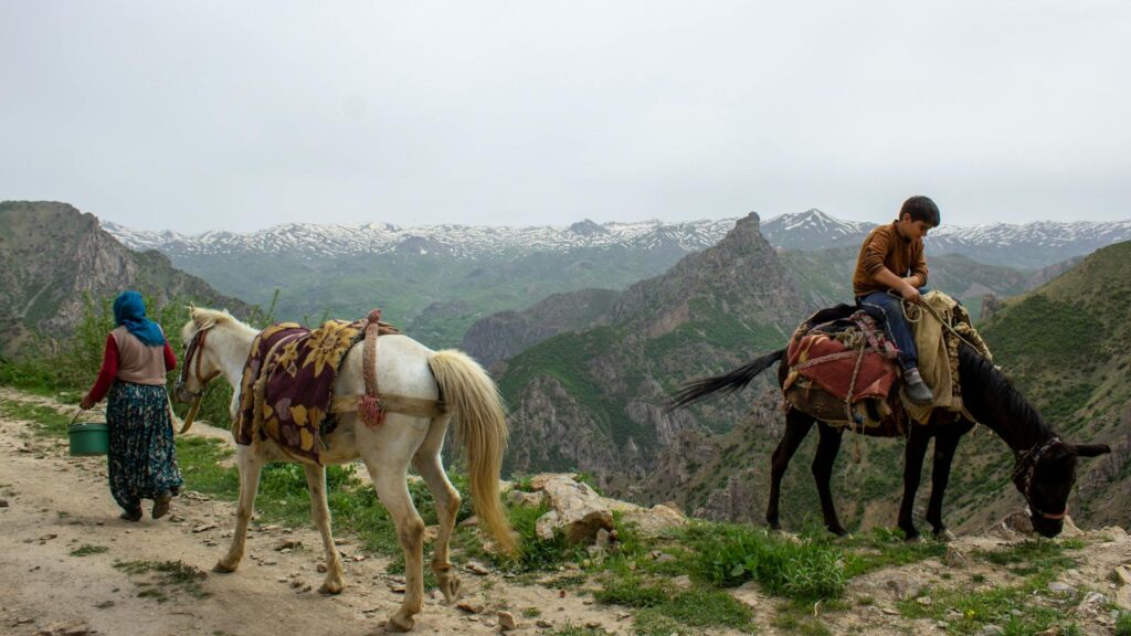 A boy and woman with horses in a scenic mountain landscape capturing rural life.