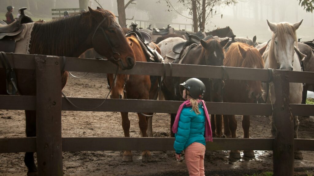 girl standing in front of group of horses