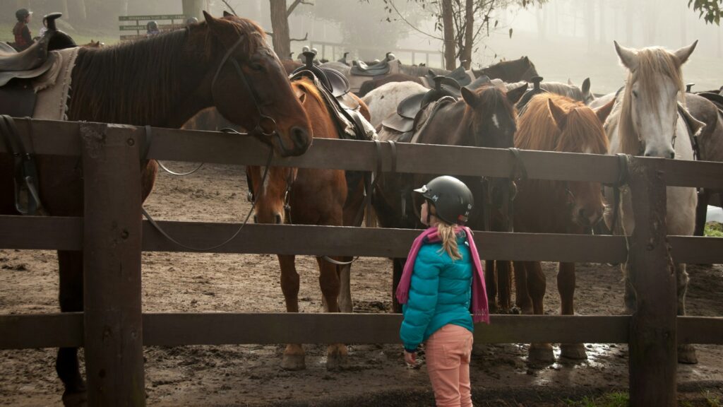 girl standing in front of group of horses