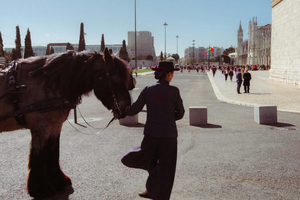 Horse and handler on a city street in Lisbon
