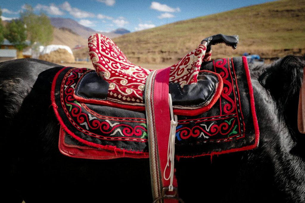 Beautifully crafted traditional horse saddle with intricate embroidery