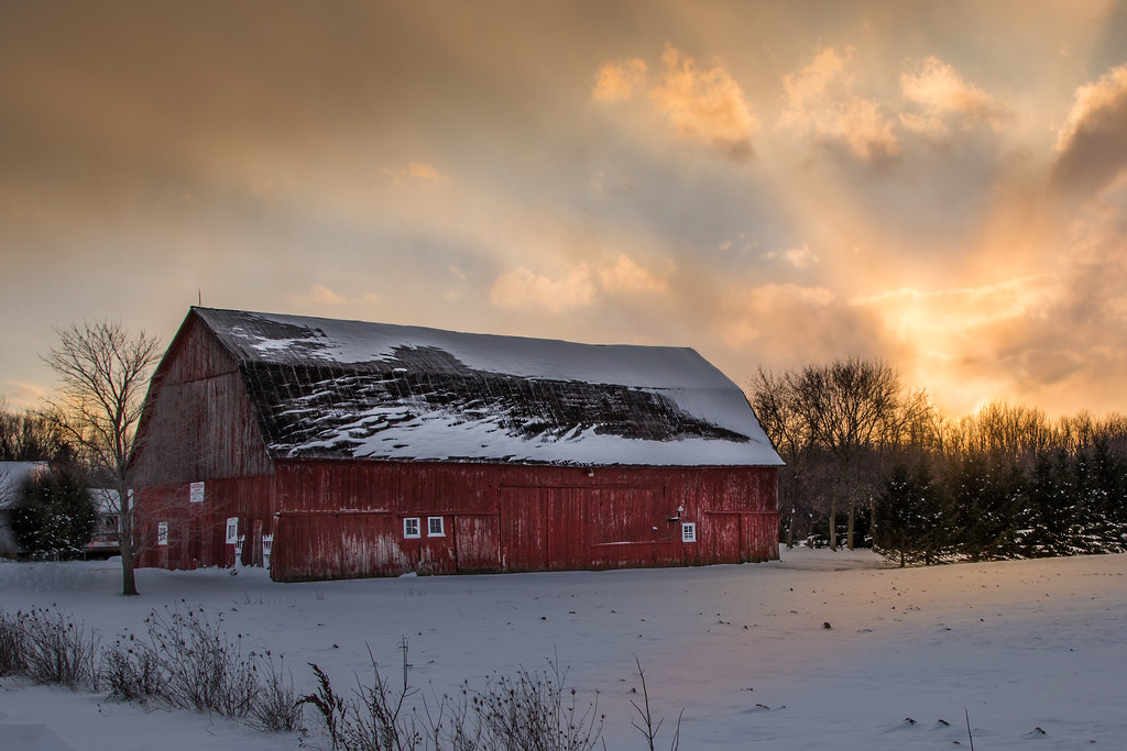 Barn,  snow and sun
