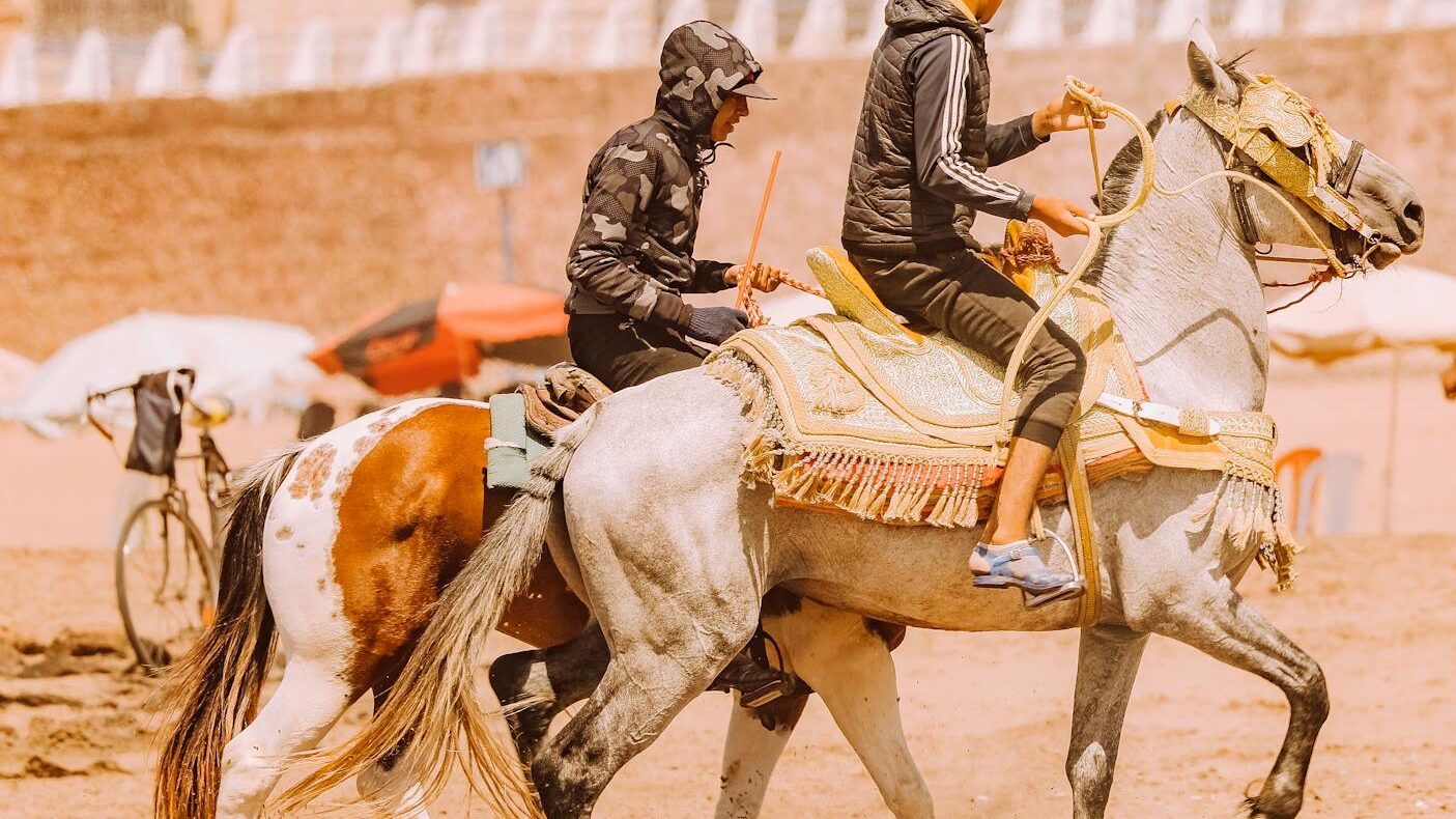 Two men skillfully riding horses on a sandy terrain, showcasing horsemanship.