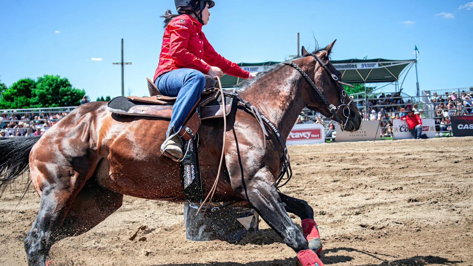 All Riding Disciplines How to Choose the Right Riding Discipline for You and Your Horse ...
