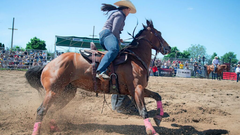 A thrilling moment of a cowgirl racing in a rodeo barrel event on a sunny day.