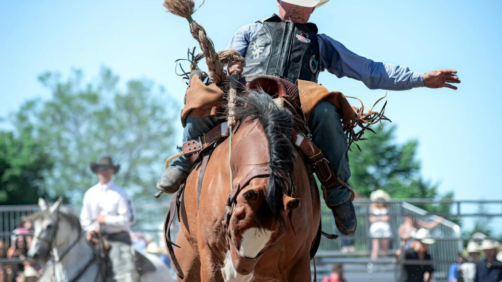 Exciting action shot of a cowboy riding a bucking bronco at a rodeo event.