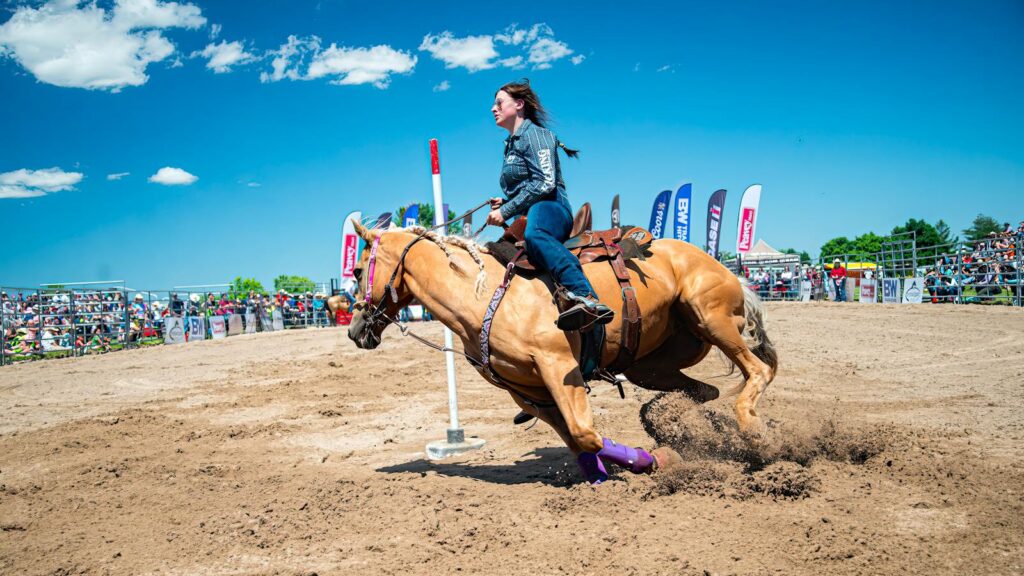 Exciting moment of a woman and her horse in a fast-paced rodeo barrel race.
