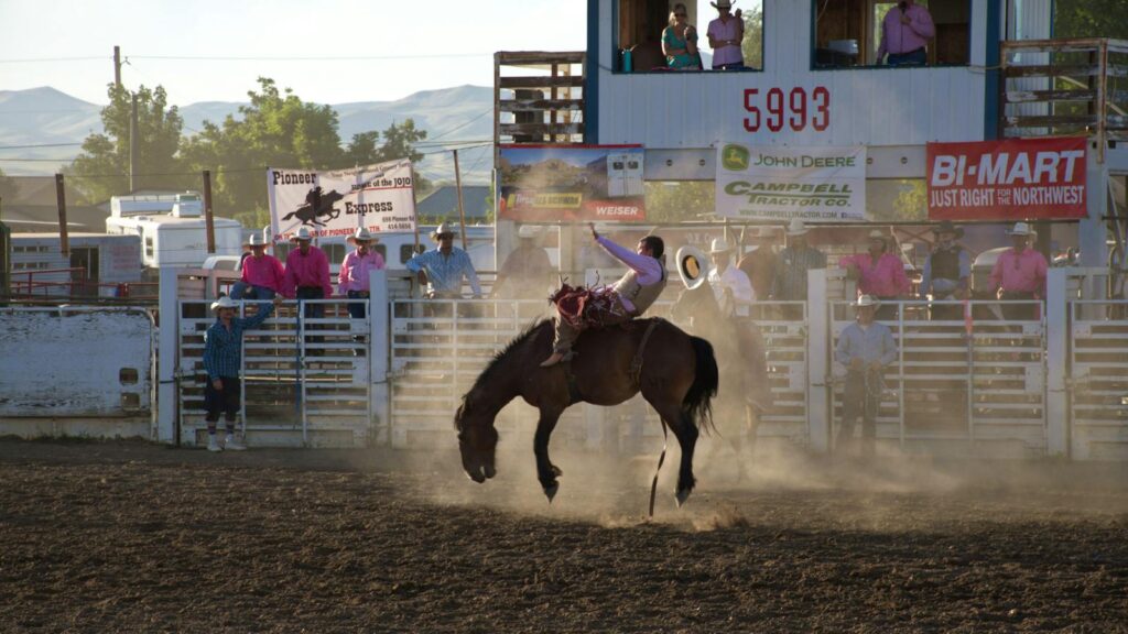 Dynamic rodeo scene capturing a cowboy skillfully riding a bucking horse in a lively outdoor setting.