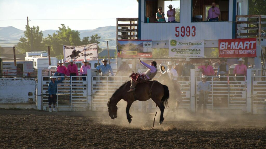 a cowboy skillfully riding a bucking horse in a lively outdoor setting.