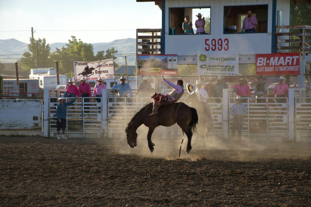 Dynamic rodeo scene capturing a cowboy skillfully riding a bucking horse in a lively outdoor setting.